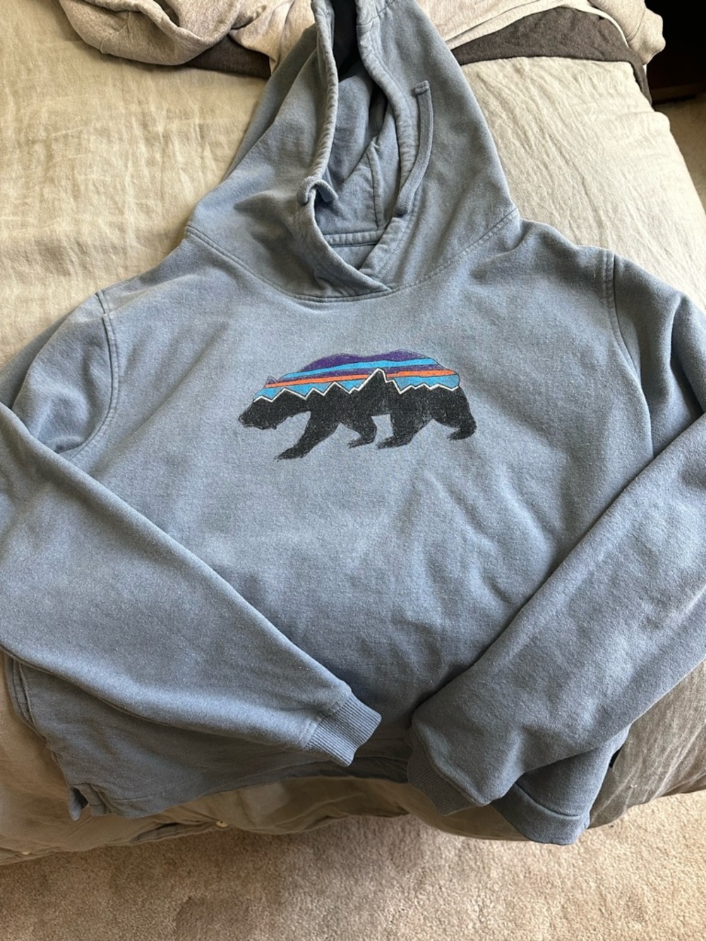 Patagonia sweatshirt with pockets size M